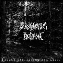 Fugace Crepuscolo Nel Bosco